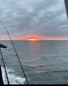 Fish On! Enjoy Sea Isle City's Waters!